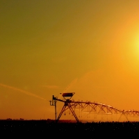 Eastern Colorado Irrigated Farm images 6