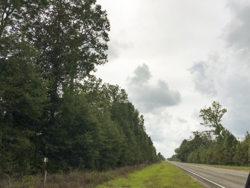 33 Acres &nbsp; FM 787 featured image