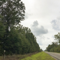 33 Acres &nbsp; FM 787