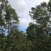 33 Acres &nbsp; FM 787 images 2