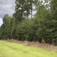 33 Acres &nbsp; FM 787 images 4