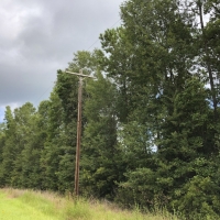 33 Acres &nbsp; FM 787 images 5