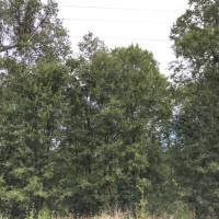 33 Acres &nbsp; FM 787 images 6