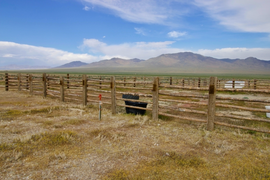 Mountain View Ranchette featured image