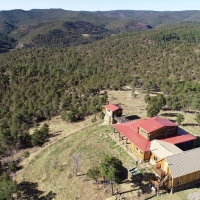 Timber Canyon Retreat