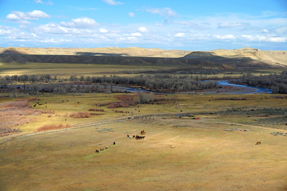 Crowheart River Property featured image