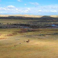 Crowheart River Property