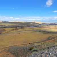 Crowheart River Property images 2