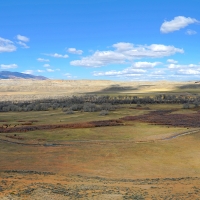 Crowheart River Property images 3