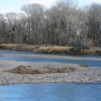 Crowheart River Property images 4