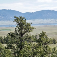 Stone House Ranch at Eleven Mile images 5