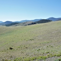 Stone House Ranch at Eleven Mile images 6