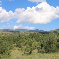 Lapin Creek Ranch images 5
