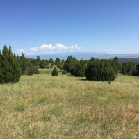 Savage Ranch images 1