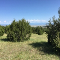 Savage Ranch images 2