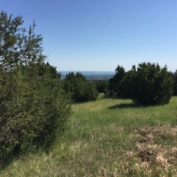 Savage Ranch images 3