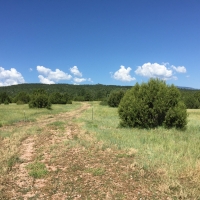 Savage Ranch images 4