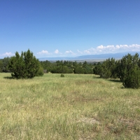 Savage Ranch images 5