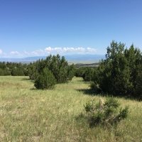 Savage Ranch images 6