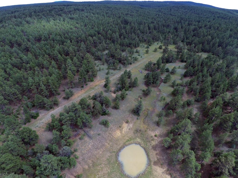 Bear Claw Pass Ranch featured image