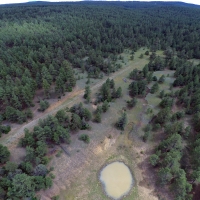 Bear Claw Pass Ranch
