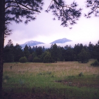 Bear Claw Pass Ranch images 2