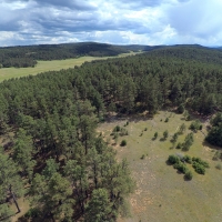Bear Claw Pass Ranch images 3