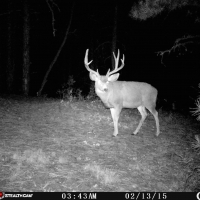 Bear Claw Pass Ranch images 4