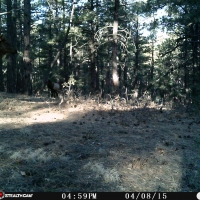 Bear Claw Pass Ranch images 6