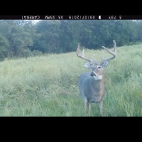 Greenwood County Duck  amp  Deer Hunt images 3