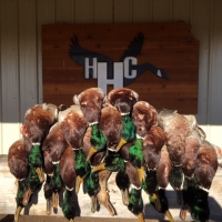 Greenwood County Duck  amp  Deer Hunt images 4