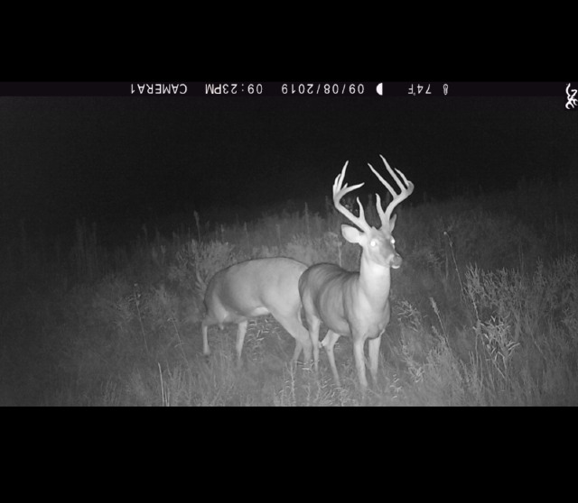 Greenwood County Duck amp Deer Hunt Hunting Land for Sale