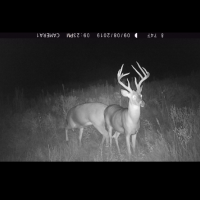 Greenwood County Duck  amp  Deer Hunt images 5