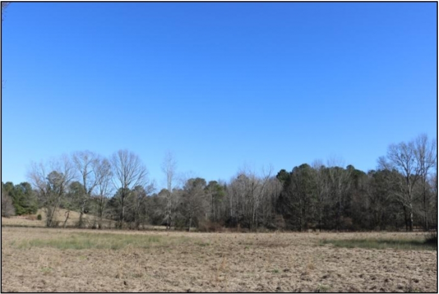 73 Acres in Winston County in Noxapater  MS featured image