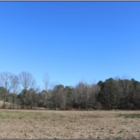 73 Acres in Winston County in Noxapater  MS images 1
