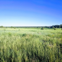 Ohlsen Ranch