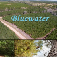 13.056 Acres &nbsp; Bluewater T2-8