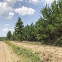 13.056 Acres &nbsp; Bluewater T2-8 images 6