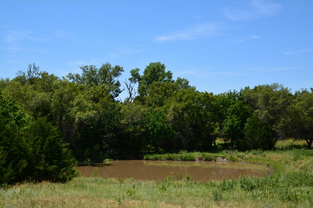 Central KS Farm  amp  Grass featured image