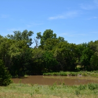 Central KS Farm  amp  Grass