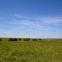 Central KS Farm  amp  Grass images 3