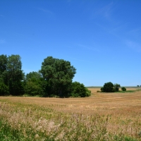 Central KS Farm  amp  Grass images 4