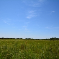 Central KS Farm  amp  Grass images 5