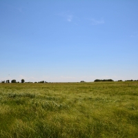 Central KS Farm  amp  Grass images 6