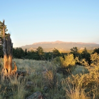 Teller Park Ranch images 1