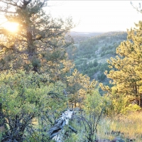Teller Park Ranch images 2