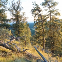 Teller Park Ranch images 4
