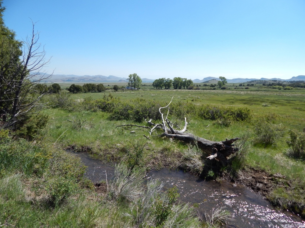 Schrader Creek Ranch  Del Norte featured image