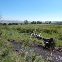 Schrader Creek Ranch  Del Norte