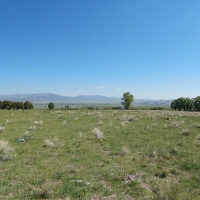 Schrader Creek Ranch  Del Norte images 2